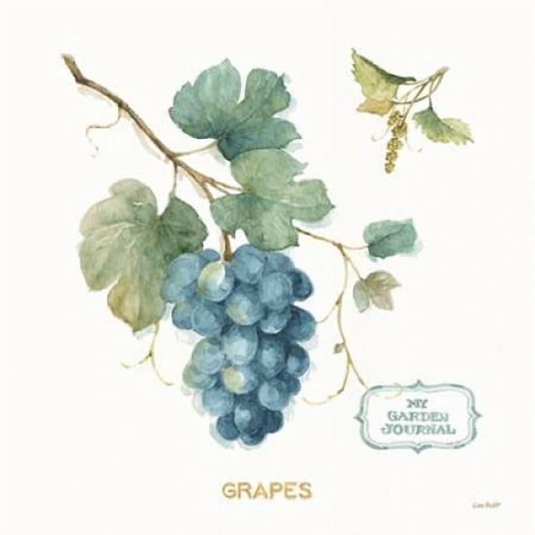 My Greenhouse Fruit III Canvas Art - Audit Lisa (24 x 24)