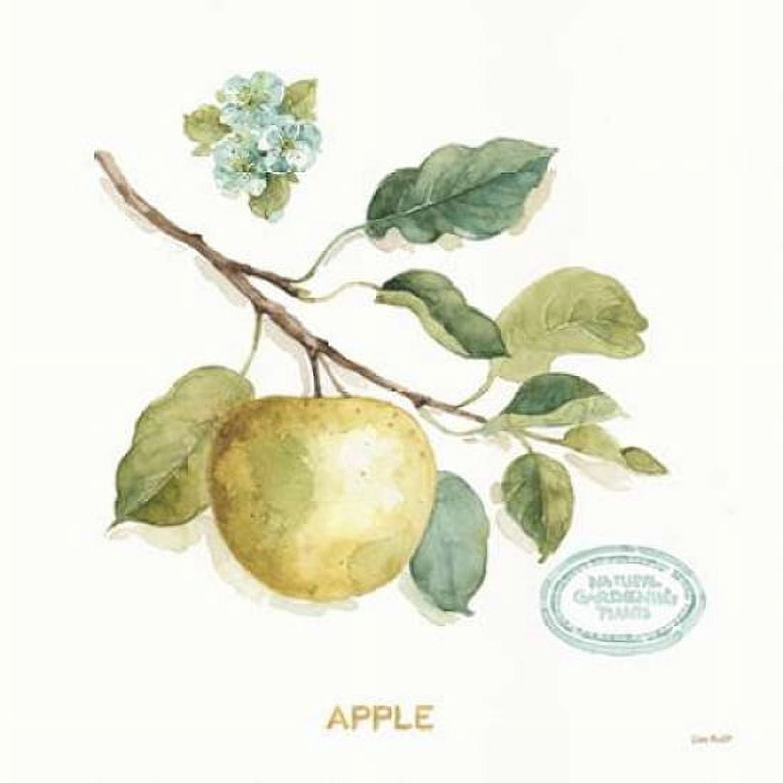 My Greenhouse Fruit IV Canvas Art - Audit Lisa (24 x 24)