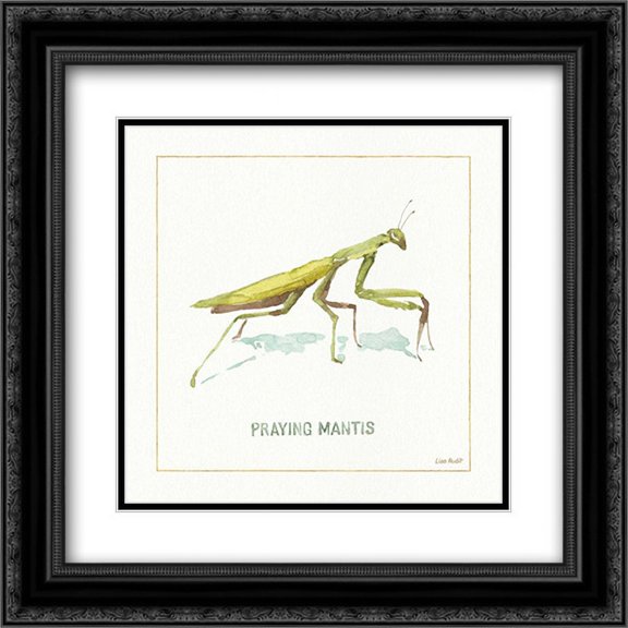 My Greenhouse Pray Mantis 2x Matted 20x20 Black Ornate Framed Art Print by Lisa, Audit