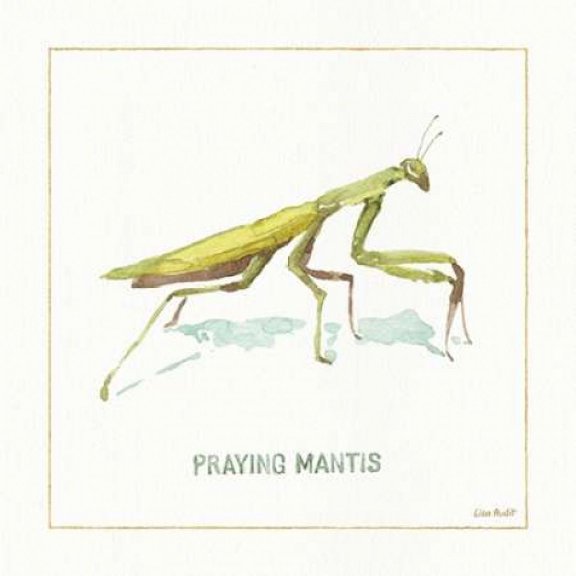My Greenhouse Pray Mantis Poster Print by Audit Lisa