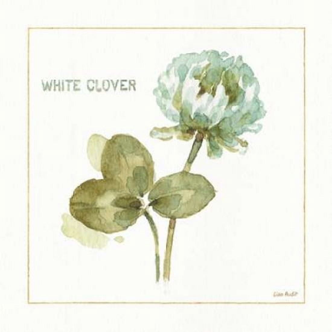 My Greenhouse White Clover Canvas Art - Audit Lisa (24 x 24)