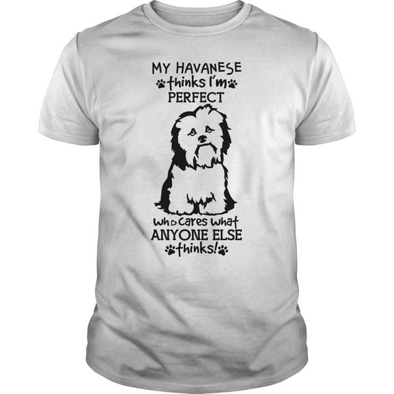 My Havanese Thinks I'm Perfect