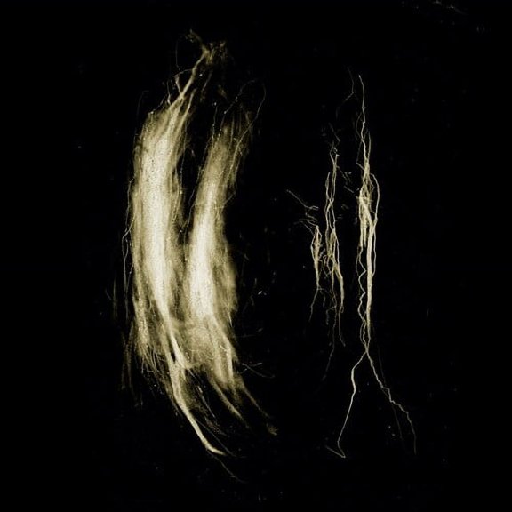 My Heart An Inverted Flame - Plague Notes - Music & Performance - Cassette