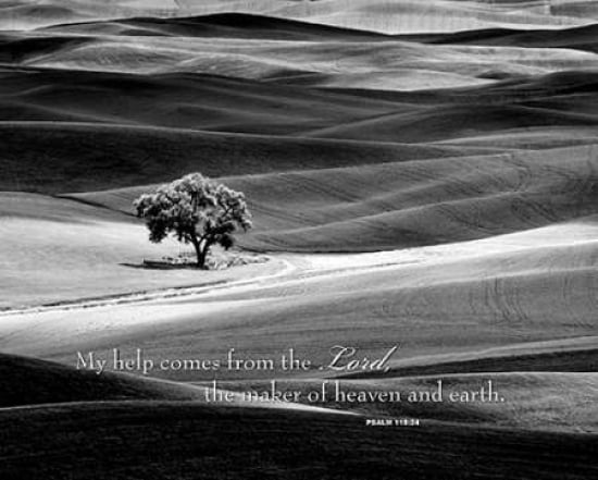 My Help Comes Canvas Art - Dennis Frates (24 x 30)