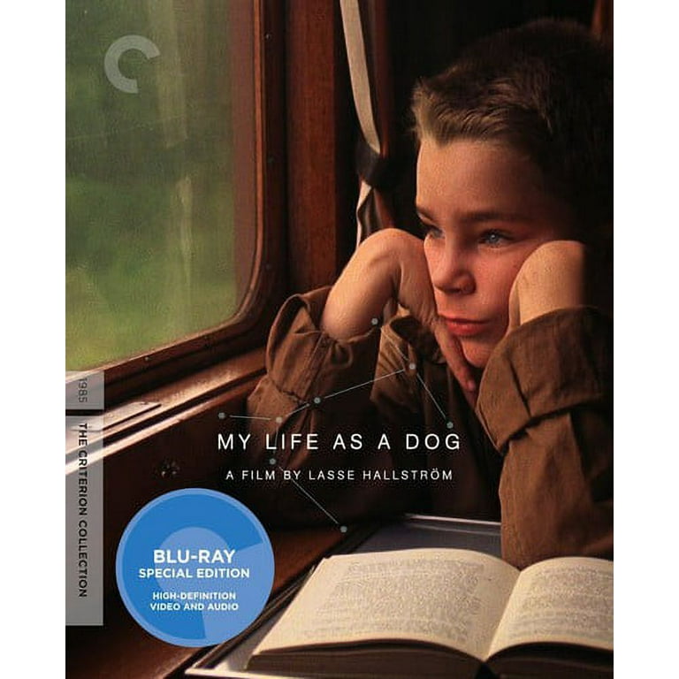 My life as a dog criterion sales
