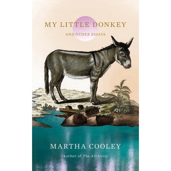 My Little Donkey: And Other Essays, (Paperback)