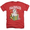 thumbnail image 1 of My Little Pony Retro All I Want Adult Heather T-Shirt Red, 1 of 1