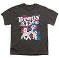 thumbnail image 1 of My Little Pony Retro Brony 4 Life S/S Youth 18/1 T-Shirt Charcoal, 1 of 1