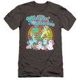 thumbnail image 1 of My Little Pony Retro Chillin With My Ponies HBO S/S Adult 30/1 T-Shirt Charcoal, 1 of 1