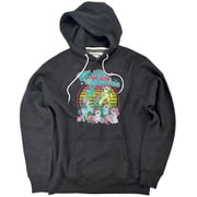My Little Pony Retro Chillin With My Ponies Unisex Adult Slim Fit Pull-Over Heather Hoodie, Charcoal, Small
