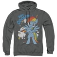 thumbnail image 1 of My Little Pony TV 20 Percent Cooler Adult Pullover Hoodie Sweatshirt Charcoal, 1 of 1