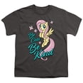 thumbnail image 1 of My Little Pony TV Be Kind S/S Youth 18/1 T-Shirt Charcoal, 1 of 1