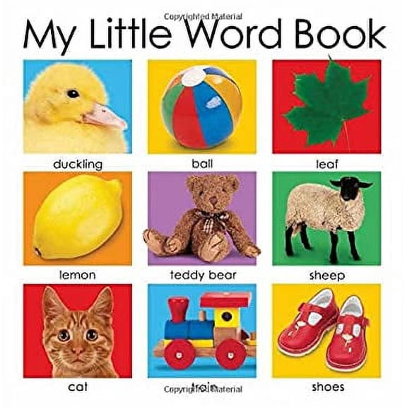 Pre-Owned My Little Word Book (Board Book) 9780312493875
