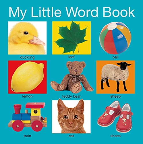 My Little Books: My Little Word Book (Board Book)