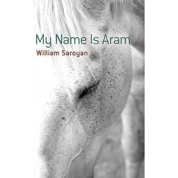 Pre-Owned My Name Is Aram (Paperback) 0486490904 9780486490908