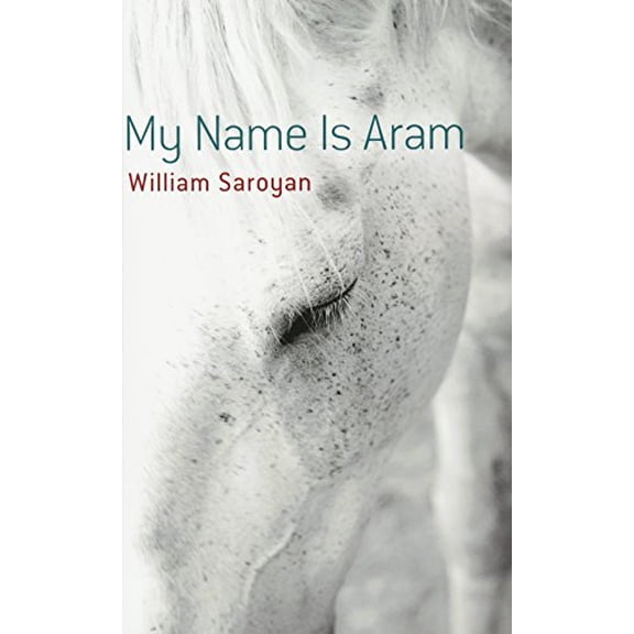 Pre-Owned My Name Is Aram (Paperback) 0486490904 9780486490908