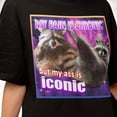 My Pain Is Chronic, But My Ass Is Iconic Meme Shirt Raccoon Meme Tee