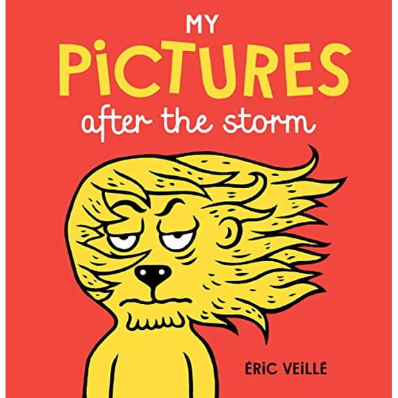 Pre-Owned My Pictures After the Storm (Hardcover) 1776571045 9781776571048