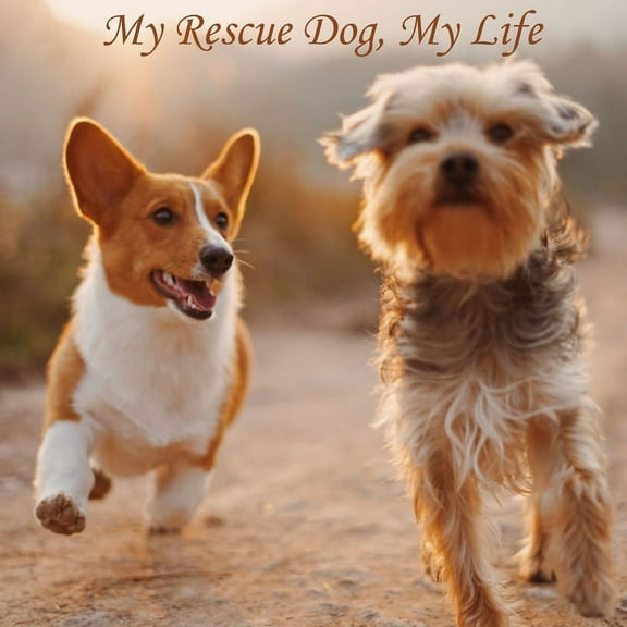 My Rescue Dog, My Life (Paperback)