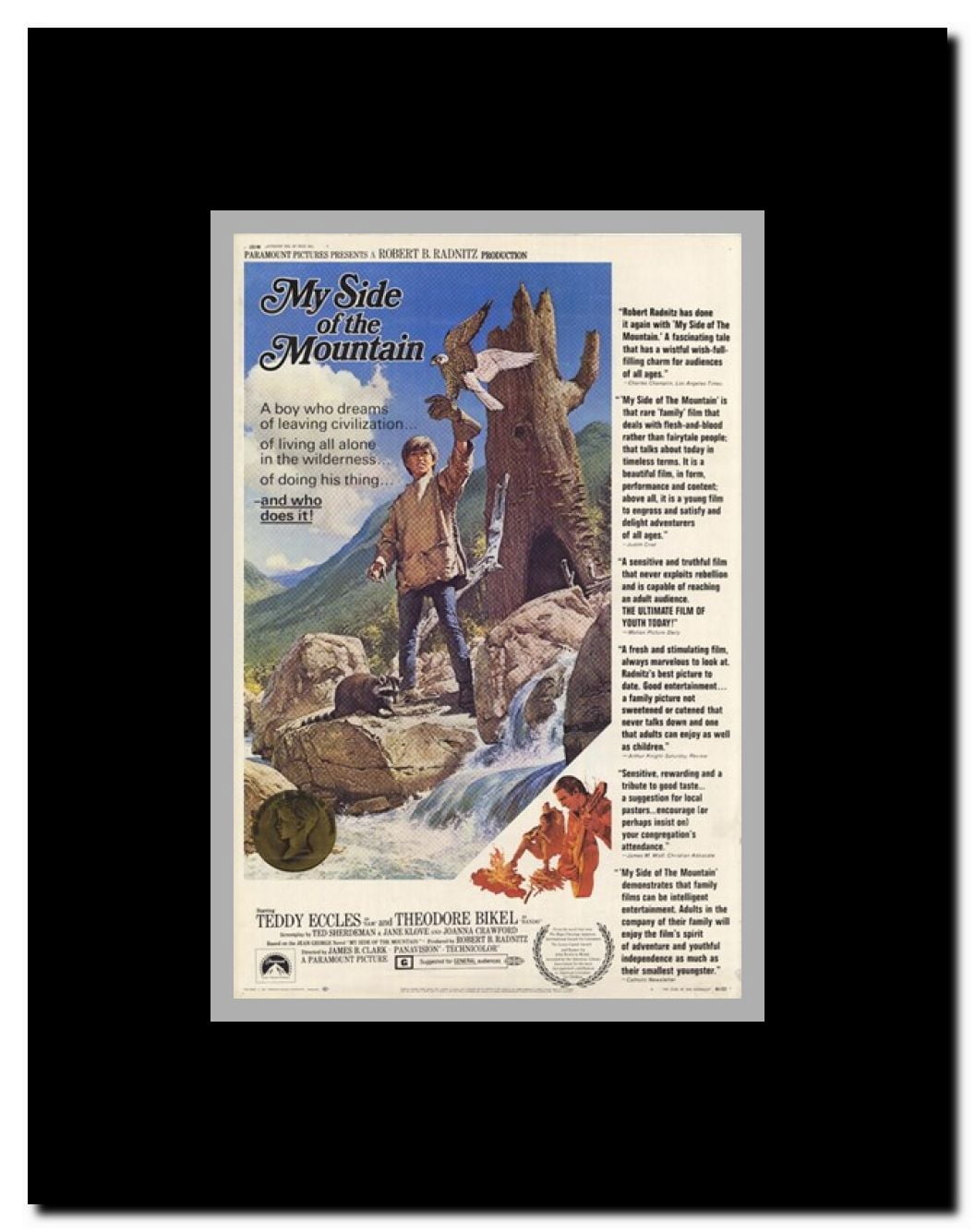 My Side of the Mountain Framed Movie Poster