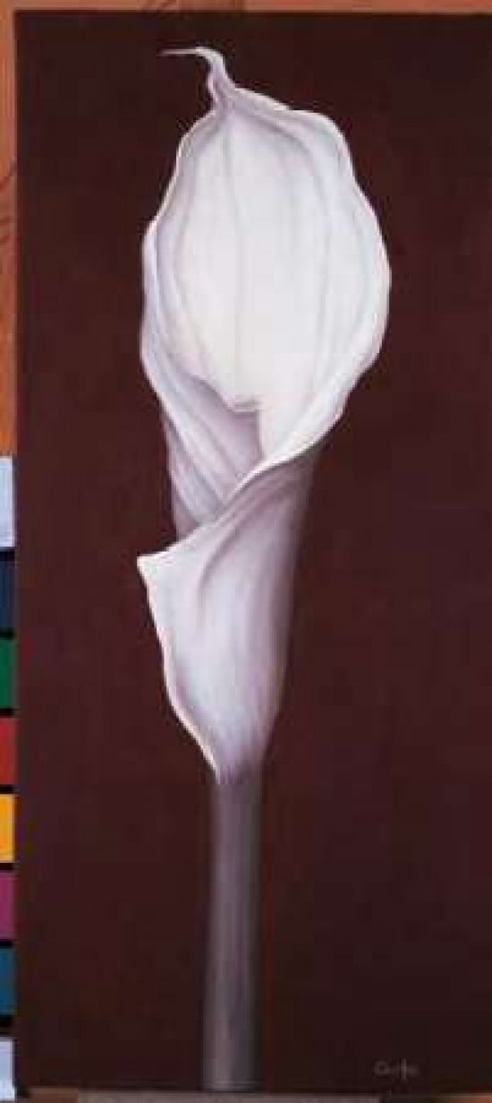 My Small Lily I Canvas Art - Isabel Cruellas (10 x 20)