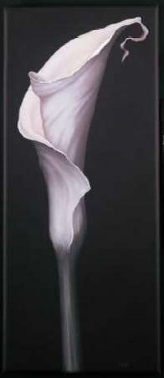 My Small Lily II Canvas Art - Isabel Cruellas (24 x 48)