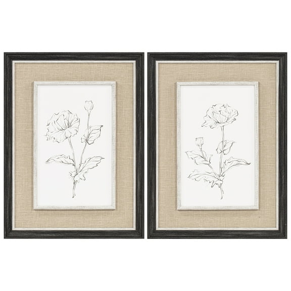 My Texas House Botanical Sketches Framed Art 2pc Set 18x24
