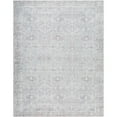 thumbnail image 1 of My Texas House Everyday Living Lorelei Transitional Indoor Washable 9' x 12' Area Rug, 1 of 13