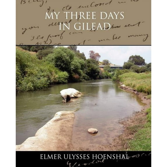 My Three Days in Gilead (Paperback)