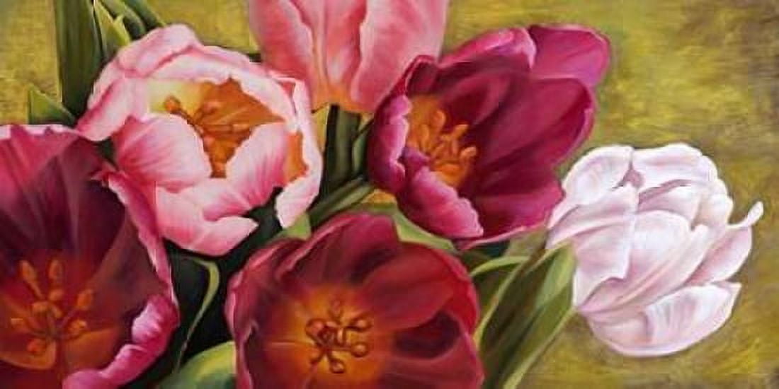 My Tulips Canvas Art - Jenny Thomlinson (24 x 48)