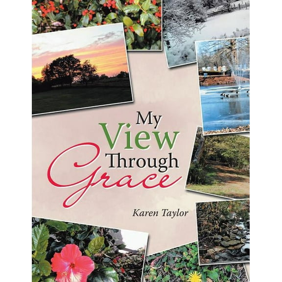 My View Through Grace (Paperback)