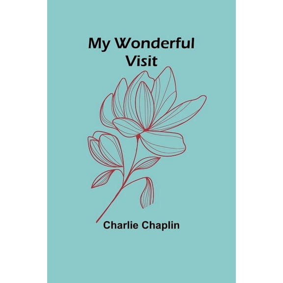 My Wonderful Visit, (Paperback)