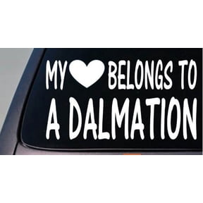 My heart belongs to a Dalmation *D977* sticker decal