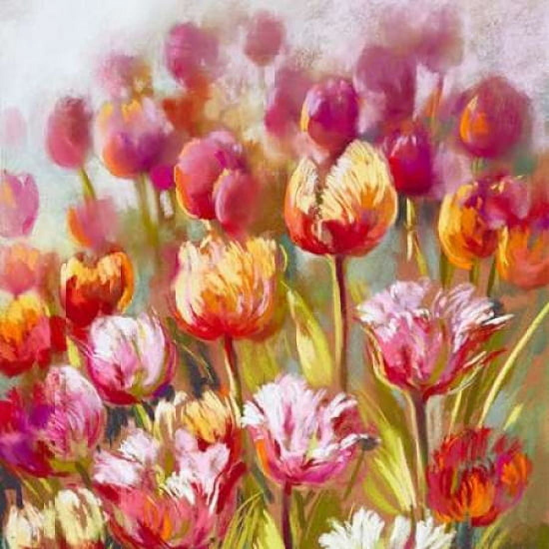My oh My Canvas Art - Nel Whatmore (24 x 24)