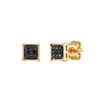 MyDiamondBox 1/6 cttw Black Diamonds Square/Princess shape Stud Earring