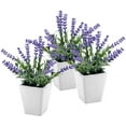 thumbnail image 1 of MyGift 3 Piece 7.5 inch White Ceramic Pot with Artificial Lavender, 1 of 5