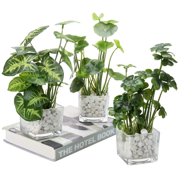 MyGift 3 Piece Clear Glass Vase with Realistic Clover and Taro Plants