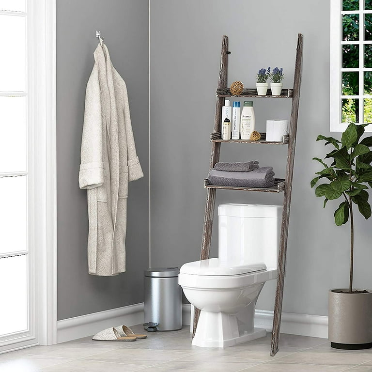 Ladder for 2024 over toilet