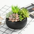 thumbnail image 1 of MyGift 5 inch Mini Black Ceramic Round Bowl with Artificial Succulents, 1 of 5