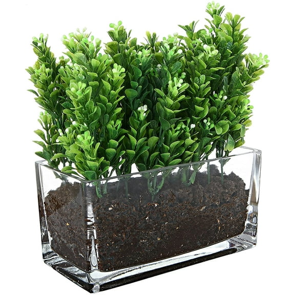 MyGift 7.5 Inch Rectangular Clear Glass Vase