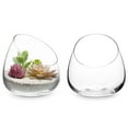 thumbnail image 1 of MyGift Clear Glass Succulent Plant Vases , Decorative Modern Storage Jars, Set of 2, 1 of 6