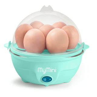 Rapid Egg Cooker - Mini Egg Cooker for Steamed, Hard Boiled, Soft Boiled  Eggs and Onsen Tamago - Electric Egg Boiler for Home Kitchen, Dorm Use -  Smart Egg Maker with Auto