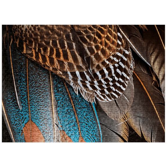 MyPuzzle - Animal Photography: Fan Of Feathers, Birds No.4 - Premium 500 Piece Jigsaw Puzzle for Adults