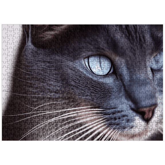 MyPuzzle - Animal Photography: Old Blue Eyes - Premium 500 Piece Jigsaw Puzzle for Adults