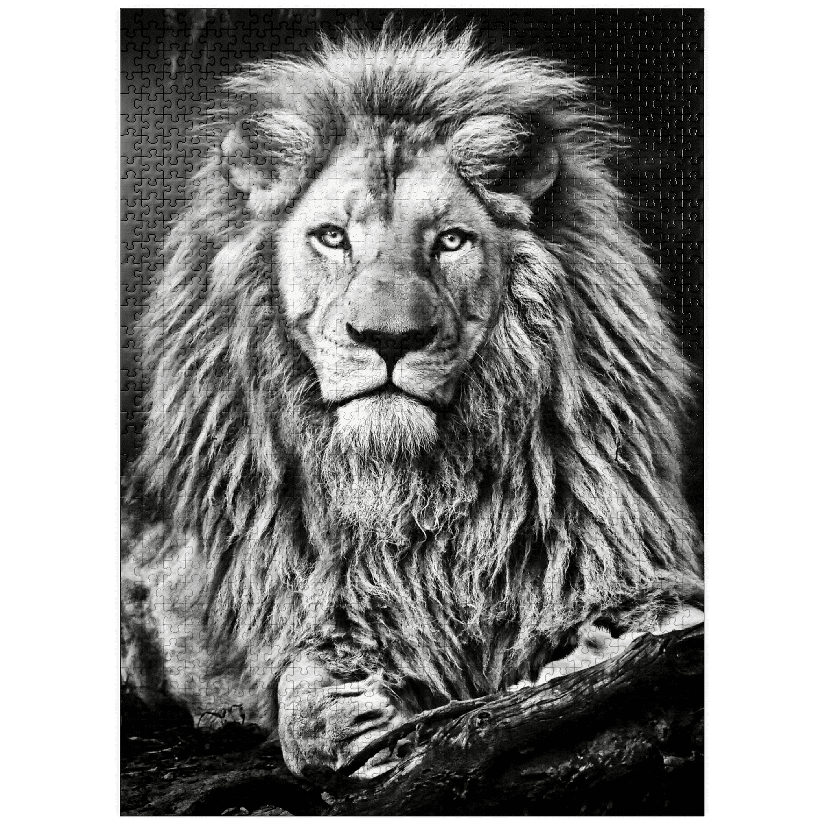 MyPuzzle Fantastic Lion 1000 Piece Jigsaw Puzzle – Premium Quality, Made In USA, Includes Poster