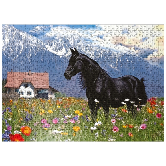 MyPuzzle - Blackie Raven - Premium 500 Piece Jigsaw Puzzle for Adults