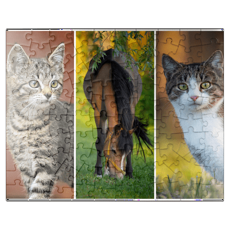 MyPuzzle - Cats And Horse Collage - Premium 100 Piece Jigsaw Puzzle for Adults