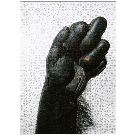MyPuzzle - Chimpanzee Hand - Premium 500 Piece Jigsaw Puzzle for Adults