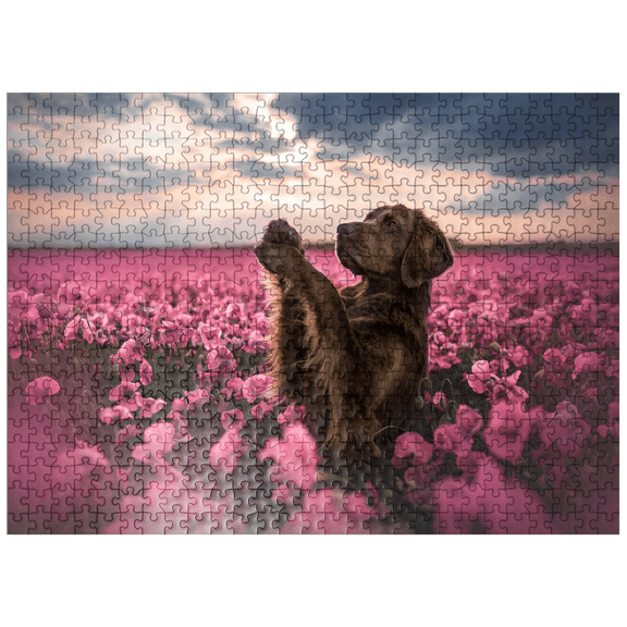 MyPuzzle - Chocolate Labrador In Blooming Pink Field - Premium 500 Piece Jigsaw Puzzle for Adults