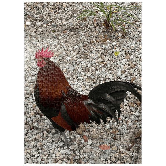 MyPuzzle - Colorful Rooster In Gravel Rocks - Premium 500 Piece Jigsaw Puzzle for Adults